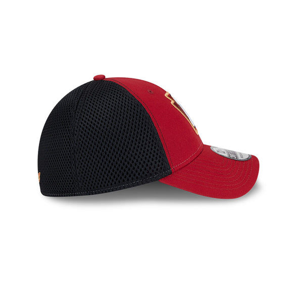 Altoona Curve 39THIRTY