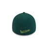 Altoona Curve Online Exclusive New Era 39Thirty Rail Kings